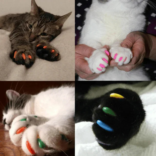 Imported Soft Silicone Nail Caps For Cats (Pack of 20)