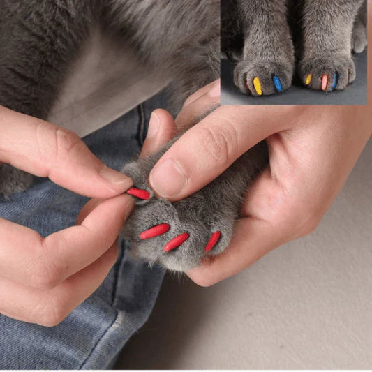 Imported Soft Silicone Nail Caps For Cats (Pack of 20)