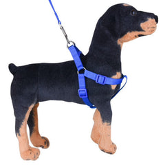 Puppy Harness