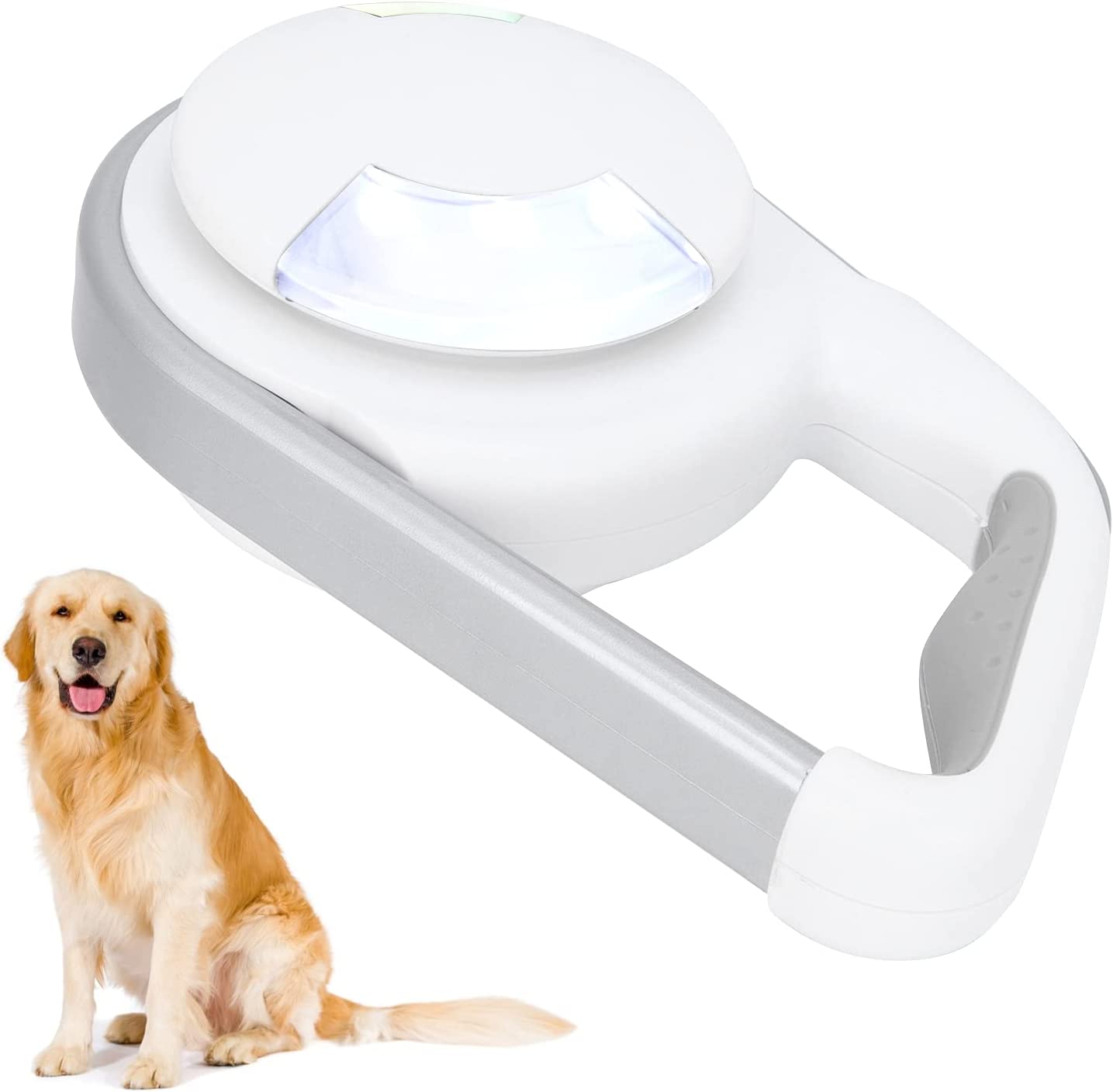 Lighted Dog Traction Rope