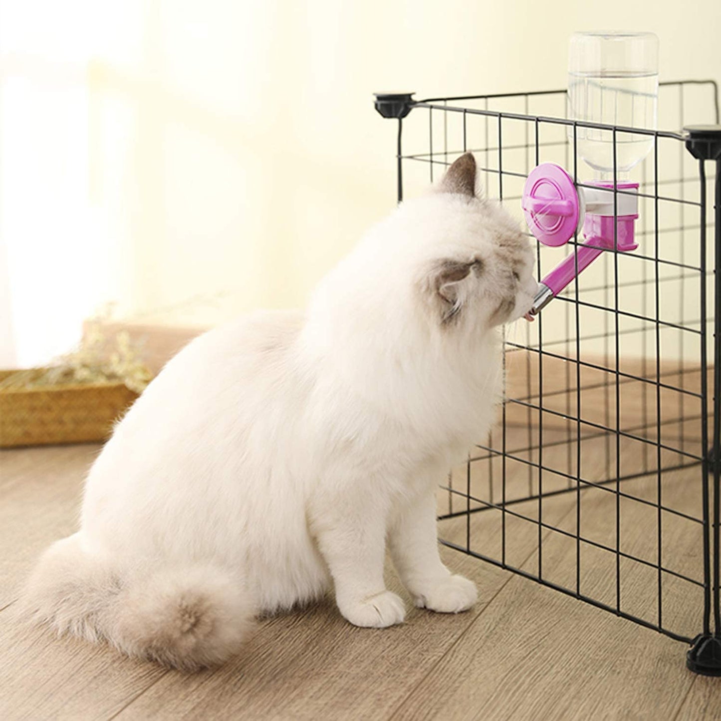 Pet Water Drinking Bottle