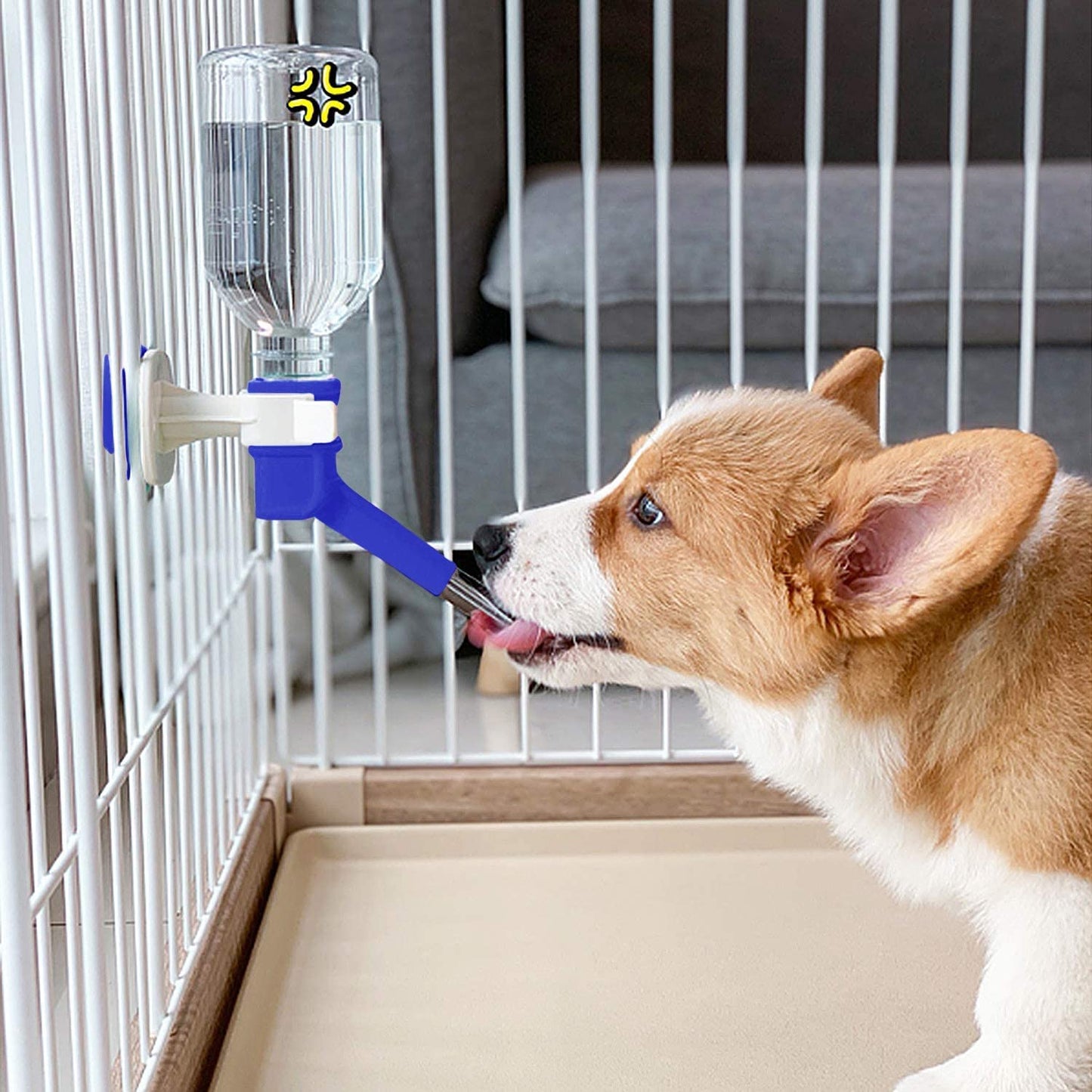 Pet Water Drinking Bottle